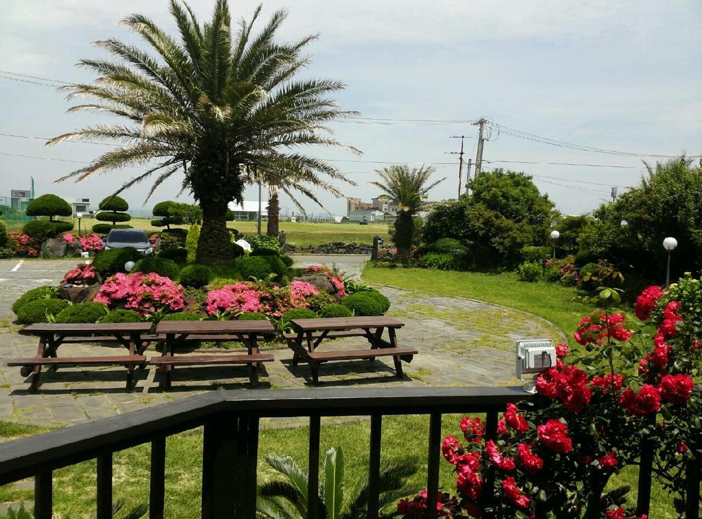 Jeju Again Olle Pension المظهر الخارجي الصورة