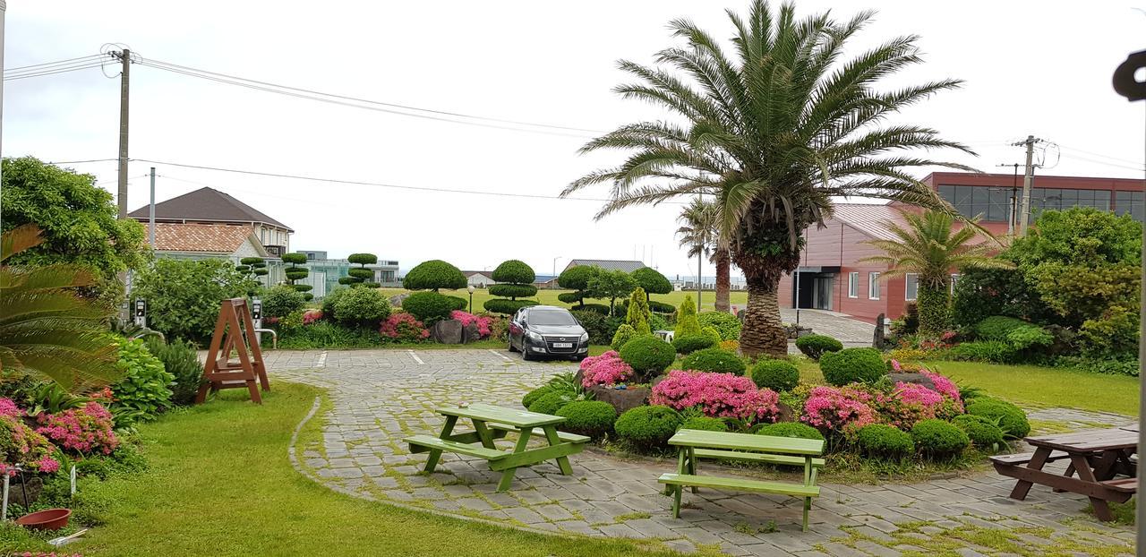 Jeju Again Olle Pension المظهر الخارجي الصورة