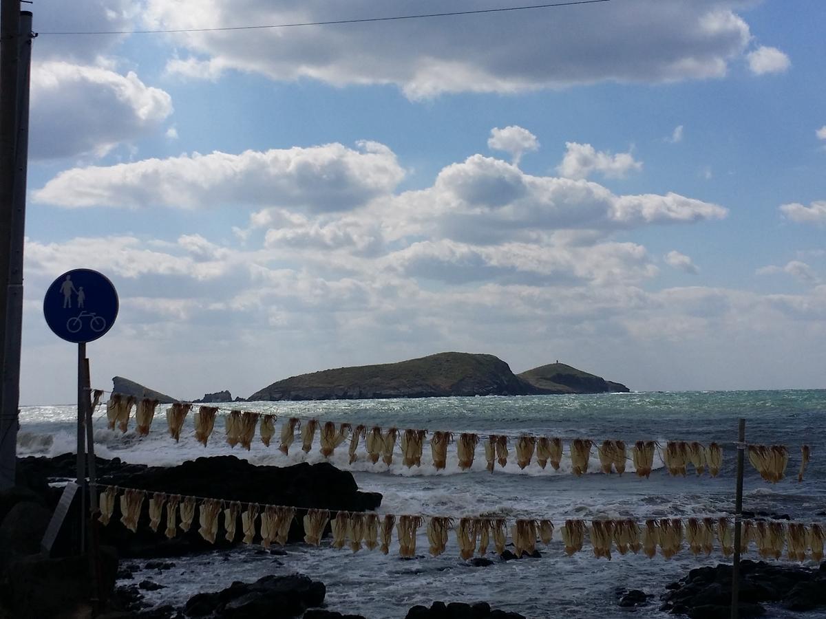 Jeju Again Olle Pension المظهر الخارجي الصورة